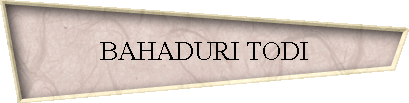BAHADURI TODI